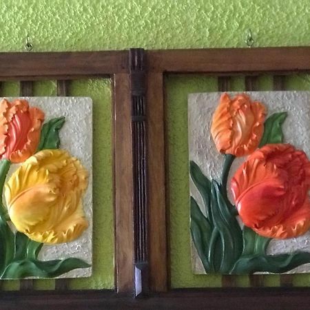 Hostal Benavente ปวยร์โตมอนต์ ภายนอก รูปภาพ
